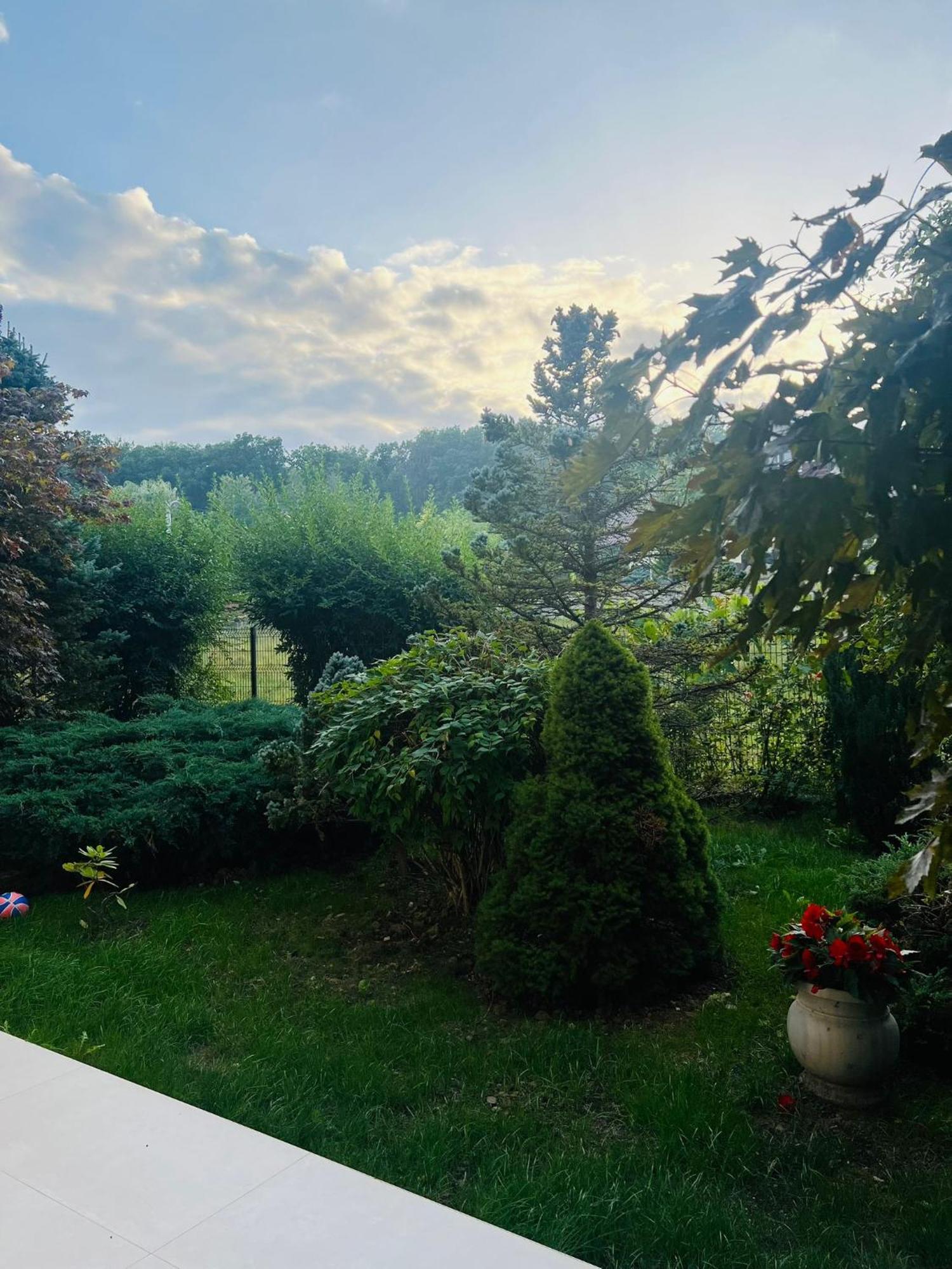 Вилла Evie'S Tree House Dragomirna Экстерьер фото